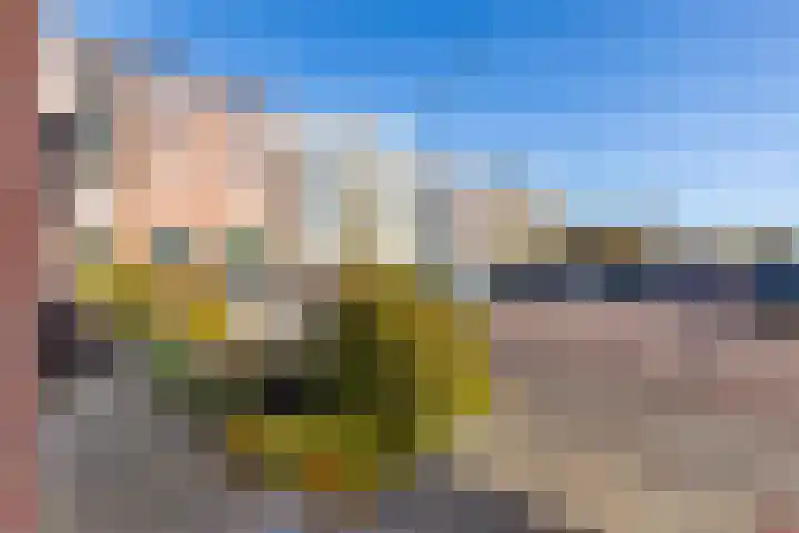 Meeuwenlaan 61 Lopik thumbnail 44