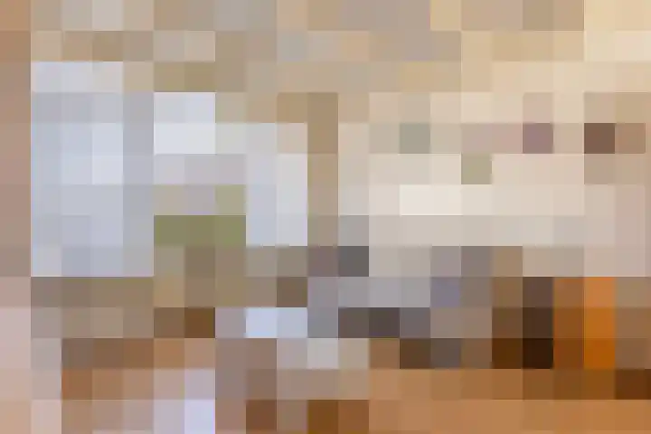 Meeuwenlaan 61 Lopik thumbnail 9