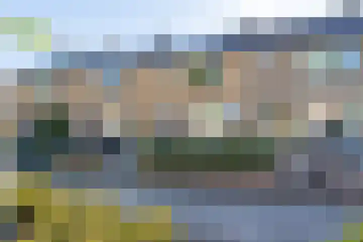 Meeuwenlaan 64 Enkhuizen