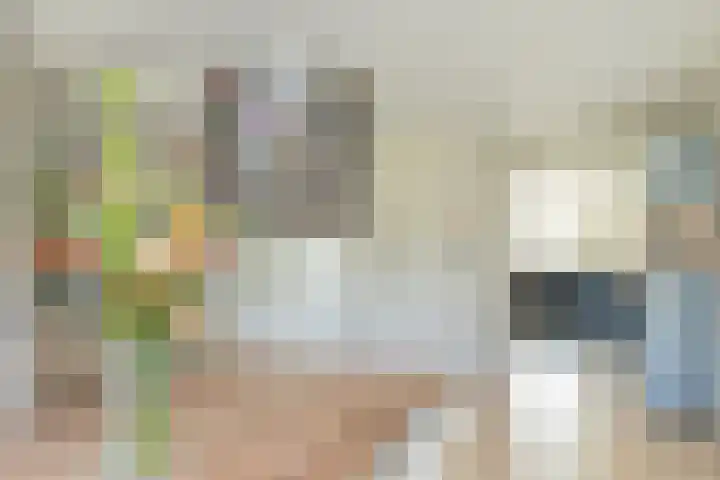 Meeuwenlaan 64 Lisse thumbnail 10
