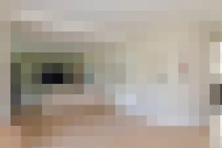 Meeuwenlaan 64 Lisse thumbnail 11