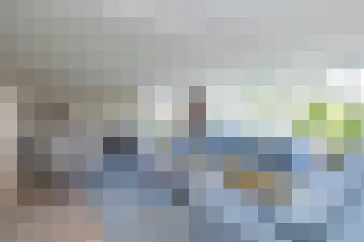 Meeuwenlaan 64 Lisse thumbnail 13
