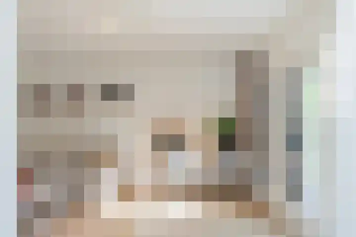 Meeuwenlaan 64 Lisse thumbnail 15