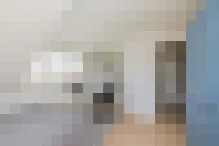 Meeuwenlaan 64 Lisse thumbnail 16