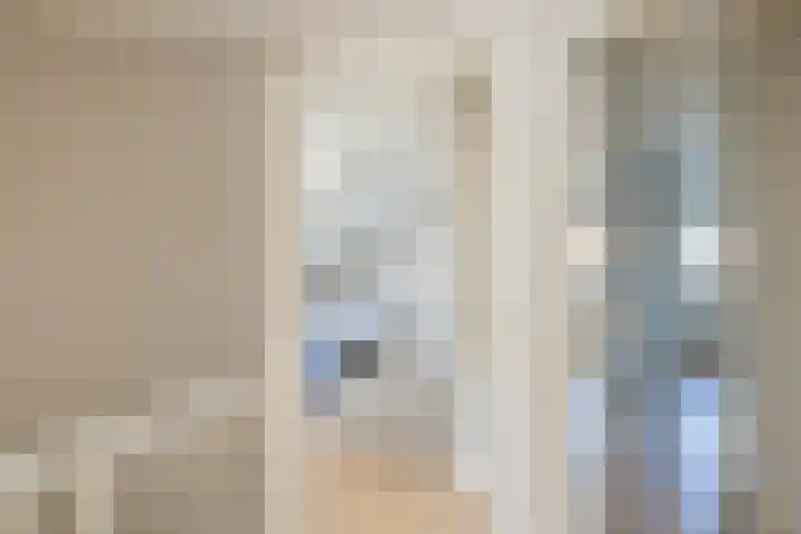 Meeuwenlaan 64 Lisse thumbnail 18