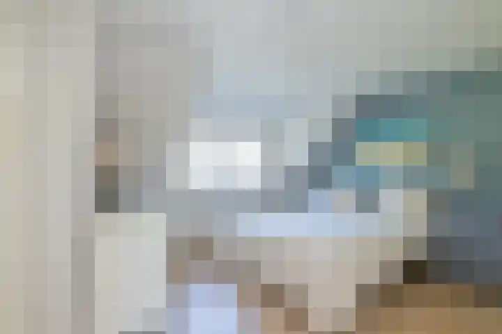 Meeuwenlaan 64 Lisse thumbnail 19