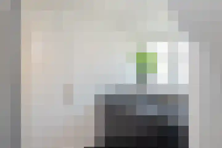 Meeuwenlaan 64 Lisse thumbnail 20