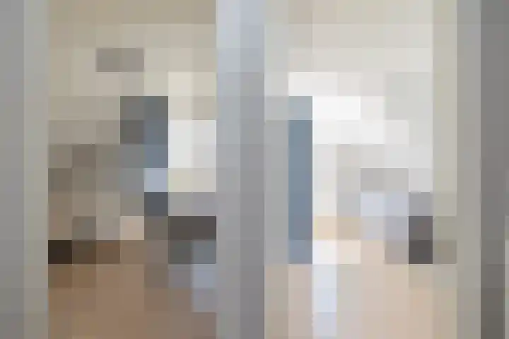 Meeuwenlaan 64 Lisse thumbnail 23