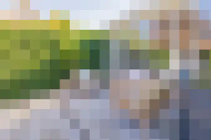Meeuwenlaan 64 Lisse thumbnail 24