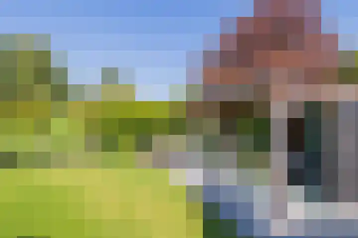 Meeuwenlaan 64 Lisse thumbnail 25