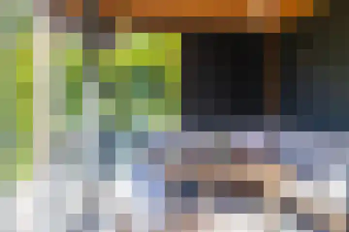 Meeuwenlaan 64 Lisse thumbnail 26