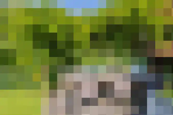 Meeuwenlaan 64 Lisse thumbnail 27