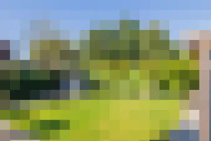 Meeuwenlaan 64 Lisse thumbnail 28