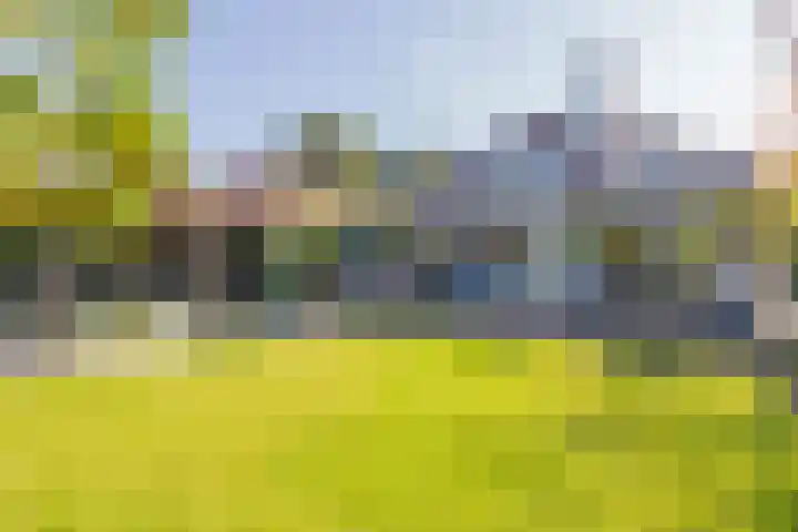 Meeuwenlaan 64 Lisse thumbnail 29