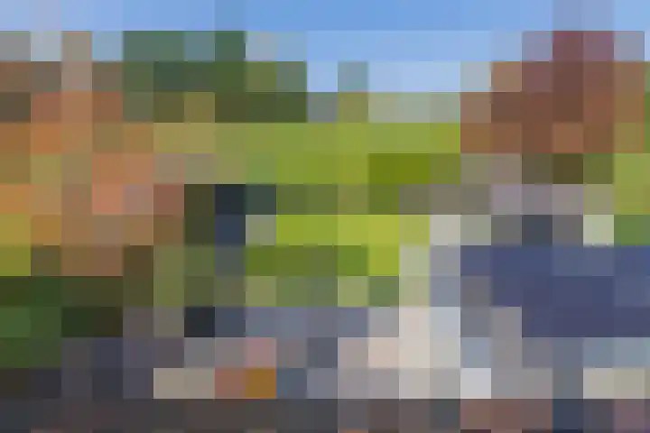 Meeuwenlaan 64 Lisse thumbnail 30