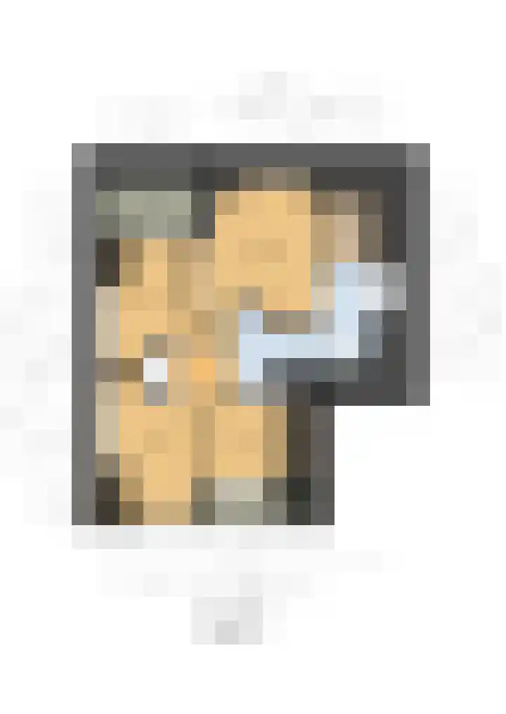Meeuwenlaan 64 Lisse thumbnail 33