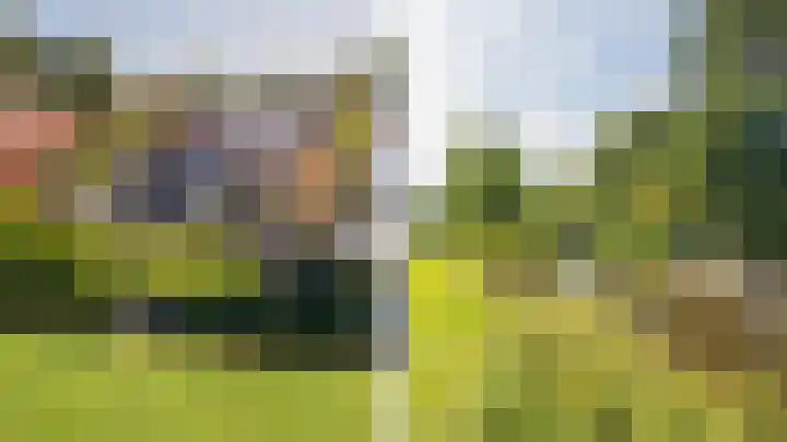 Meeuwenlaan 64 Lisse thumbnail 5