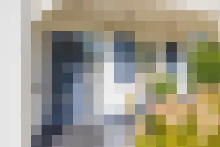 Meeuwenlaan 64 Lisse thumbnail 6