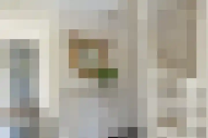 Meeuwenlaan 64 Lisse thumbnail 7