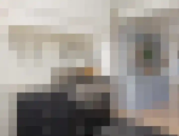 Meeuwenlaan 64 Lisse thumbnail 9