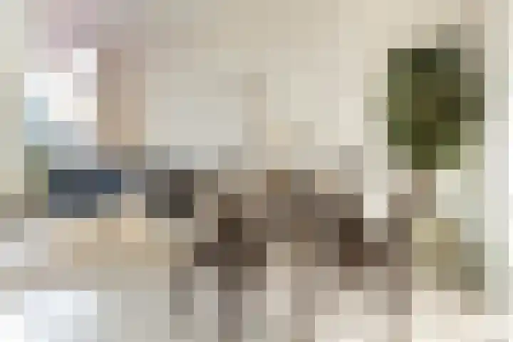 Meeuwenlaan 65 1 Amsterdam thumbnail 10