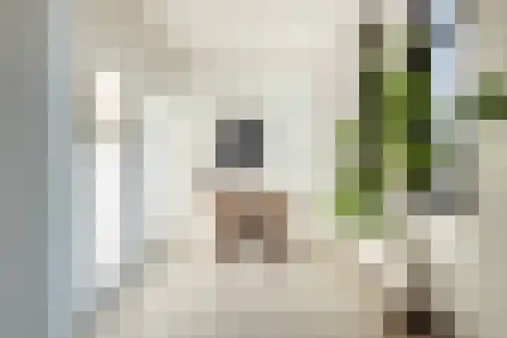 Meeuwenlaan 65 1 Amsterdam thumbnail 11