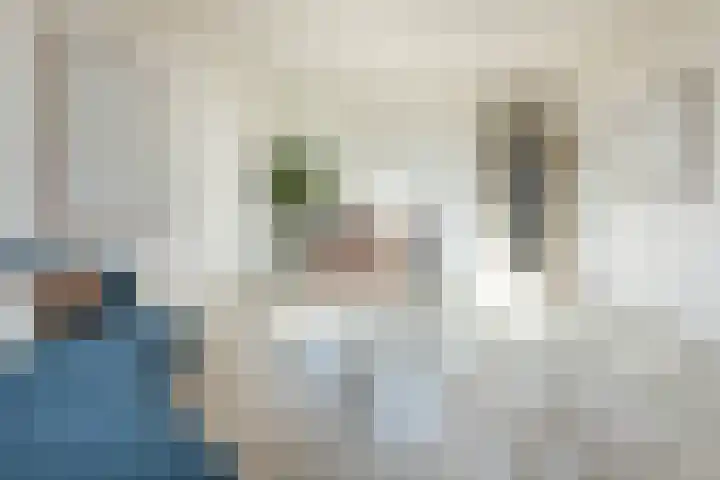Meeuwenlaan 65 1 Amsterdam thumbnail 12
