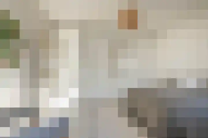 Meeuwenlaan 65 1 Amsterdam thumbnail 18