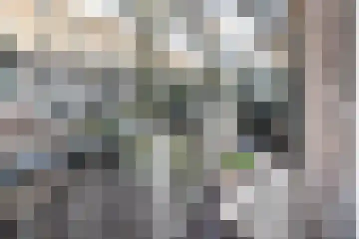 Meeuwenlaan 65 1 Amsterdam thumbnail 20