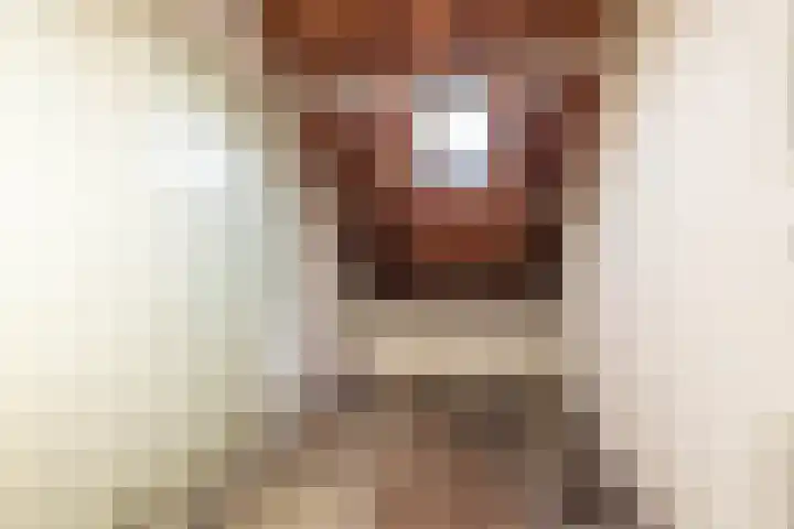 Meeuwenlaan 65 1 Amsterdam thumbnail 23