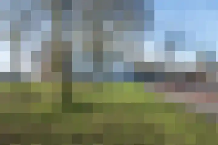Meeuwenlaan 65 1 Amsterdam thumbnail 24