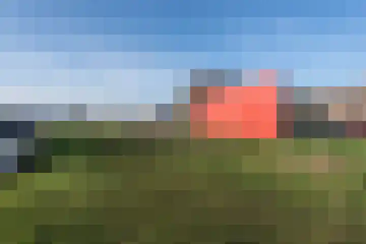 Meeuwenlaan 65 1 Amsterdam thumbnail 25