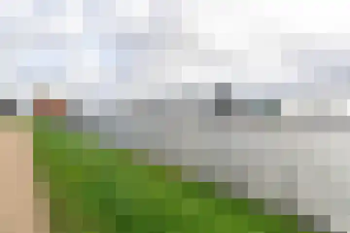 Meeuwenlaan 65 1 Amsterdam thumbnail 27