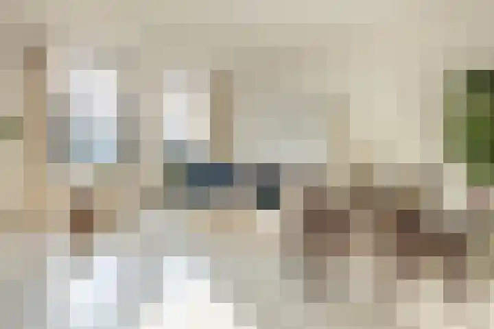Meeuwenlaan 65 1 Amsterdam thumbnail 5