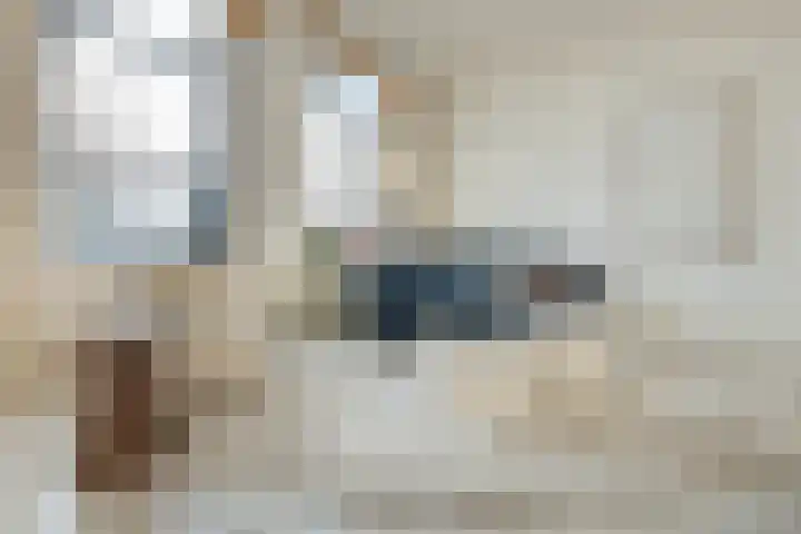 Meeuwenlaan 65 1 Amsterdam thumbnail 6