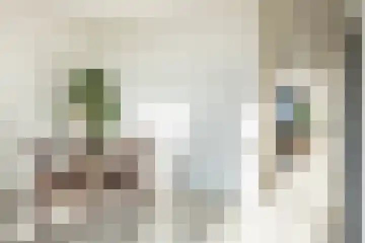 Meeuwenlaan 65 1 Amsterdam thumbnail 7