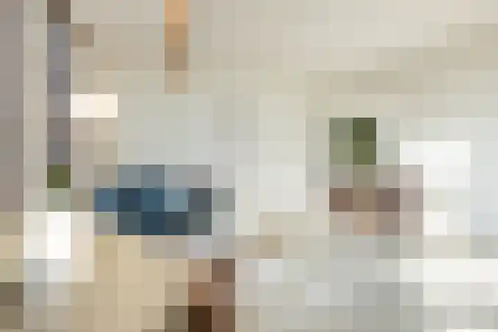 Meeuwenlaan 65 1 Amsterdam thumbnail 9