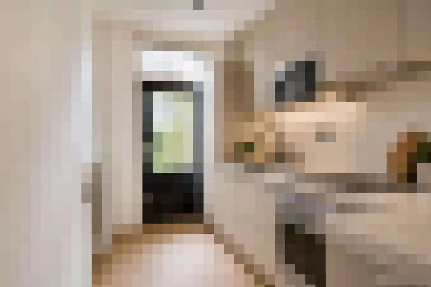 Meeuwenlaan 65 2 Amsterdam thumbnail 17