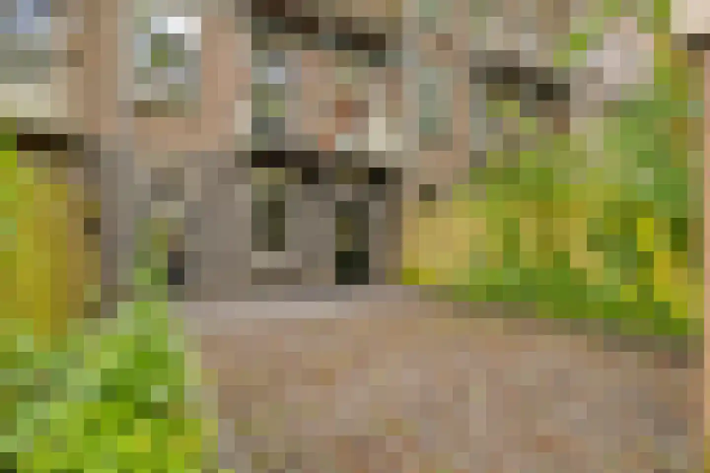Meeuwenlaan 65 2 Amsterdam thumbnail 22