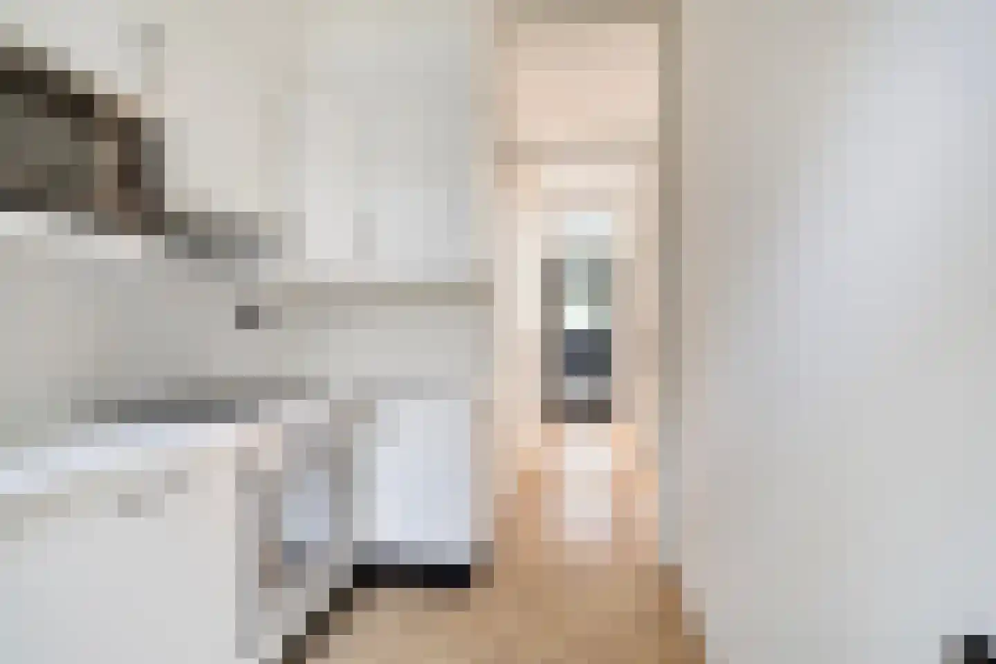 Meeuwenlaan 65 2 Amsterdam thumbnail 5