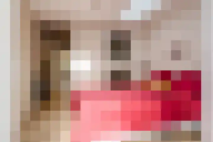 Meeuwenlaan 69 H Amsterdam thumbnail 13