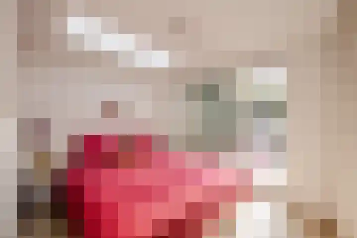 Meeuwenlaan 69 H Amsterdam thumbnail 14