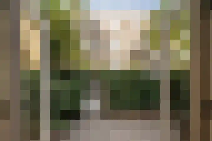 Meeuwenlaan 69 H Amsterdam thumbnail 15