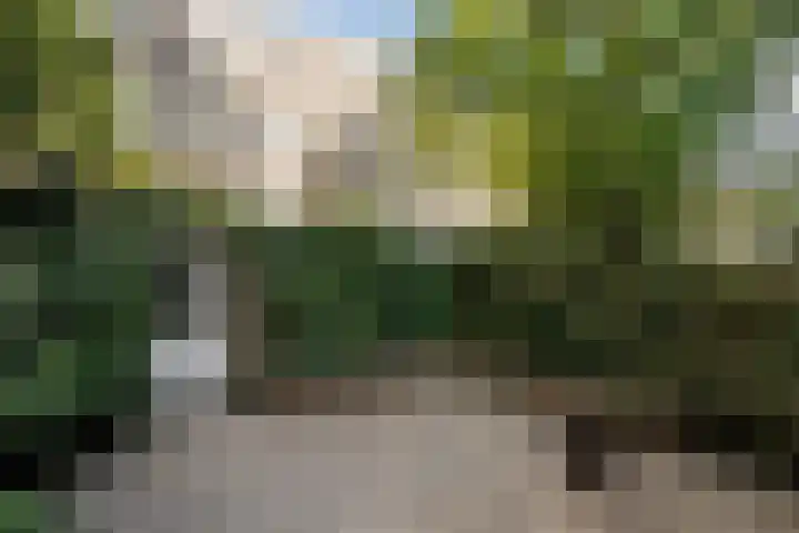 Meeuwenlaan 69 H Amsterdam thumbnail 16