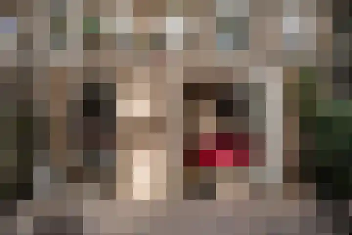 Meeuwenlaan 69 H Amsterdam thumbnail 17