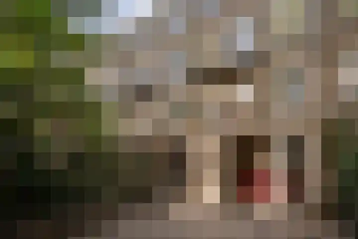 Meeuwenlaan 69 H Amsterdam thumbnail 18