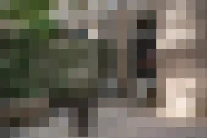 Meeuwenlaan 69 H Amsterdam thumbnail 20