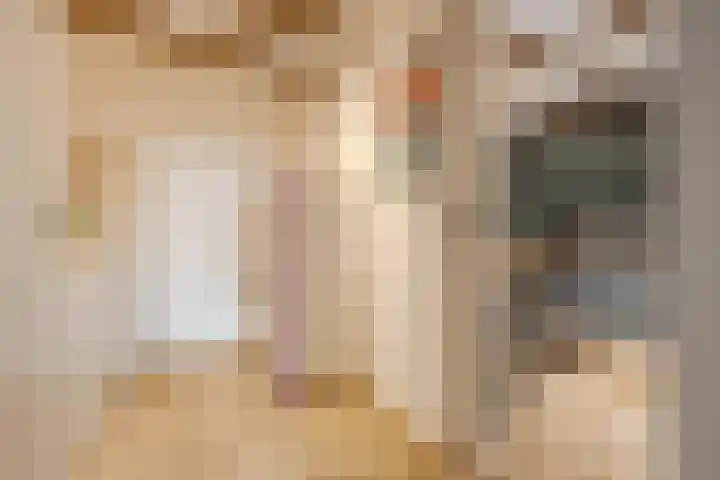 Meeuwenlaan 69 H Amsterdam thumbnail 23