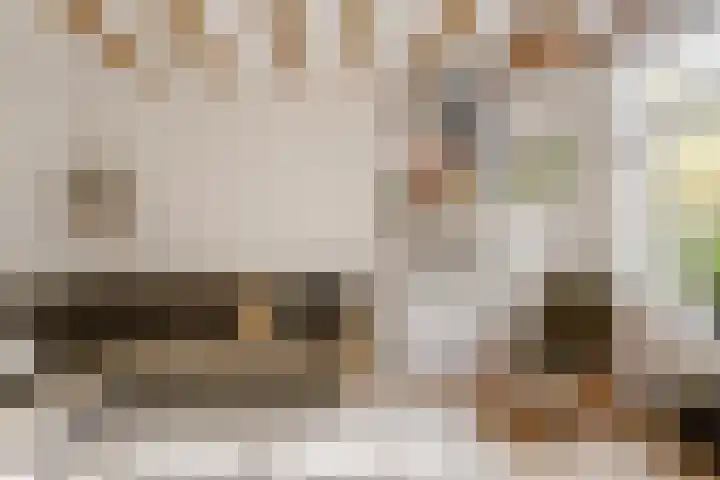 Meeuwenlaan 69 H Amsterdam thumbnail 29