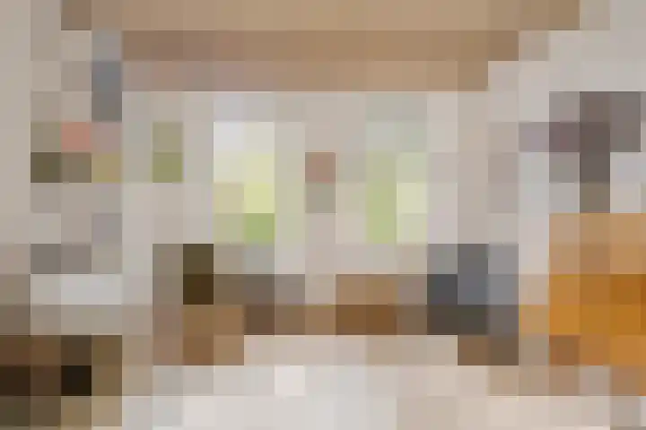 Meeuwenlaan 69 H Amsterdam thumbnail 32